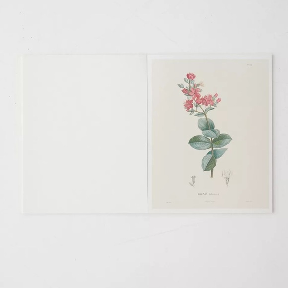 NWT Urban Outfitters Alexander von Humboldt Botanical Illustrations 22 Posters - Picture 3 of 14